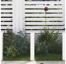Privacy scherm voor planten en een wit hek
