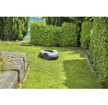 Robotmaaier op een gazon in de tuin.