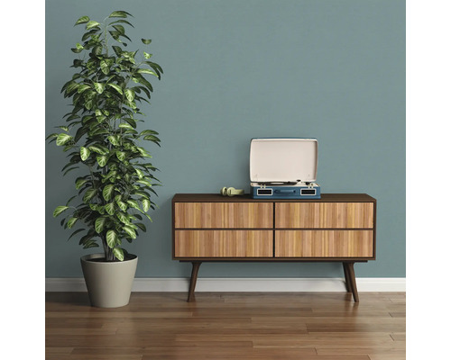 Woonkamer scène met dressoir, kamerplant en platenspeler.