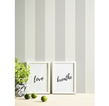 Geschilderde muur met gestreept patroon, twee ingelijste kunstprints en een plant in een pot