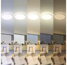 Plafondlamp in verschillende kleurtemperaturen in een woonkamer weergegeven.