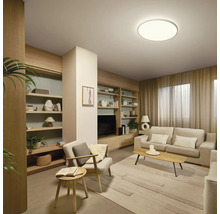 Woonkamer met rekken, sofa, fauteuil, tapijt en plafondlamp.