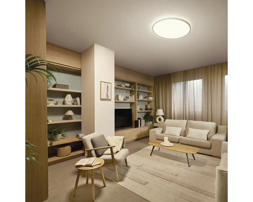 Woonkamer met rekken, sofa, fauteuil, tapijt en plafondlamp.
