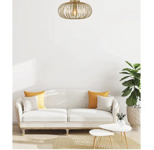 Woonkamer met plafondlamp, bank, kussens, vloerkleed, salontafels en kamerplant