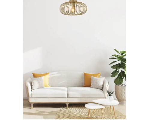 Woonkamer met plafondlamp, bank, kussens, vloerkleed, salontafels en kamerplant