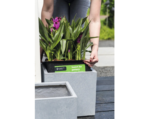 Vrouw plaatst een inzetstuk met een plant in een plantenbak