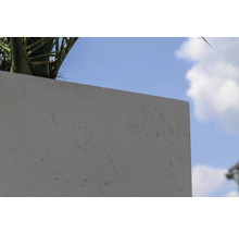 Detail van een betonnen plantenbak tegen een blauwe lucht