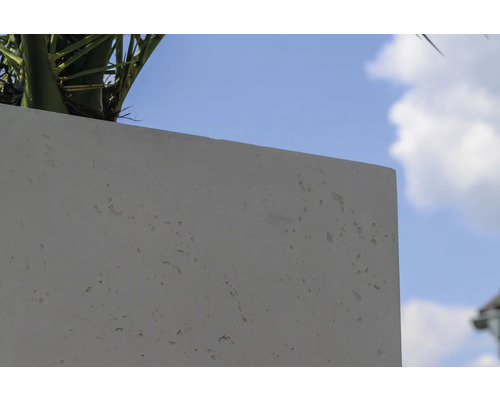 Detail van een betonnen plantenbak tegen een blauwe hemel