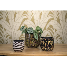 Decoratieve bloempotten met dierenprint voor kamerplanten