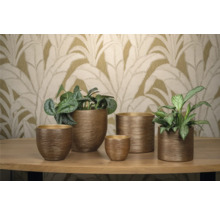 Diverse plantenbakken op een tafel met planten