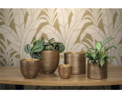 Diverse plantenbakken op een tafel met planten