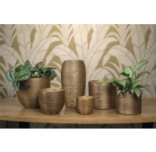 Diverse plantenbakken in verschillende maten met planten op een tafel