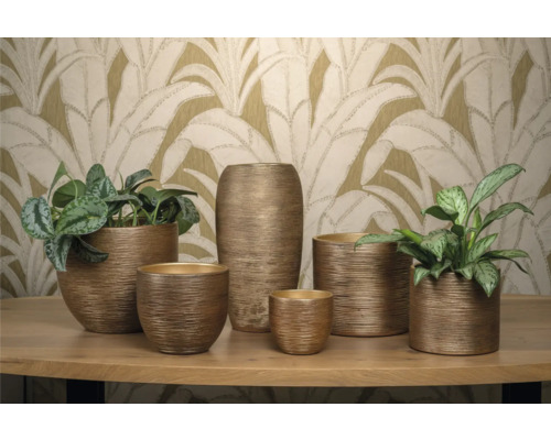 Diverse plantenbakken in verschillende maten met planten op een tafel