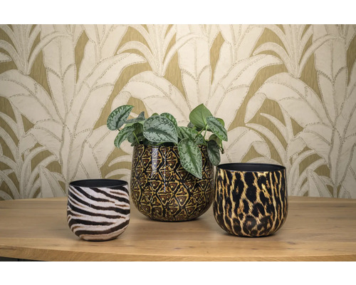 Decoratieve plantenbakken met zebra-, geometrische en luipaardpatronen op een houten tafel.