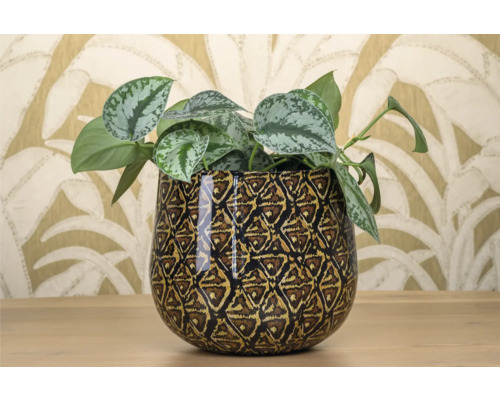 Kamerplant in een decoratieve bloempot met geometrisch patroon.