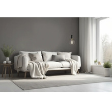 Woonkamer met bank, vloerkleed en decoratie voor een gezellige sfeer