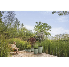 Tuinscène met een vrouw op een stoel en diverse beplante bloempotten op een houten terras