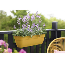 Gele bloembak met paars bloeiende planten op een balkon.