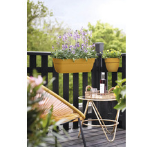 Balkonscène met bloembakken bevestigd aan een reling en een klein tafeltje met decoraties.