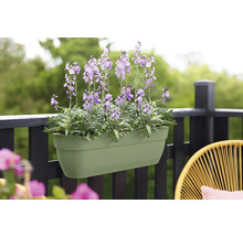 Bloembak met paarse bloemen op een balkonreling