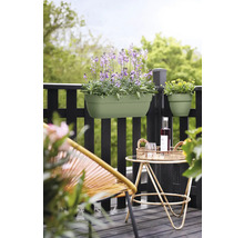 Balkonscène met bloembak en potplanten op een reling, naast een tafel met drankjes en een stoel