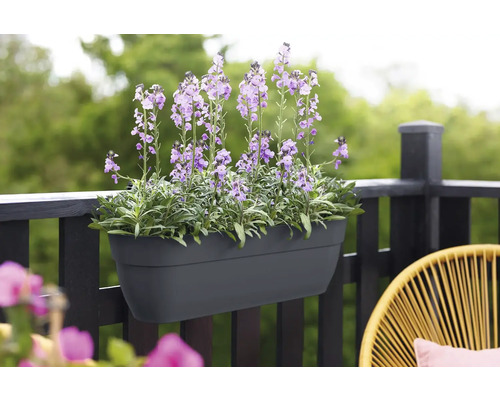 Bloembak met paars bloeiende planten, bevestigd aan een balkonreling