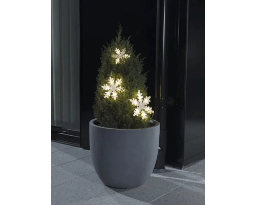 Decoratieve conifeer in plantenbak met sneeuwvlokkenlichtsnoer