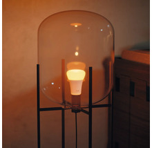 Staande lamp met glazen koepel en gloeilamp