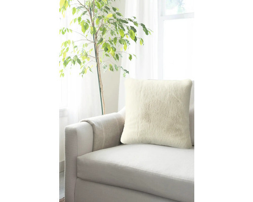 Decoratief kussen op een bank naast een kamerplant
