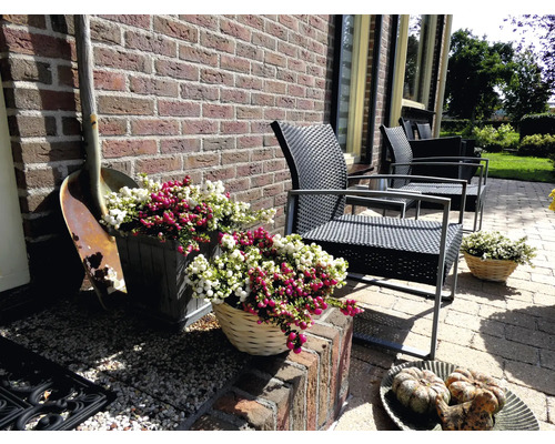Terras met tuinmeubelen, plantenbakken en decoraties voor een bakstenen muur.