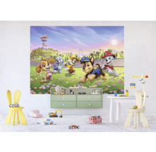 Kinderkamer met Paw Patrol muurschildering en kindermeubels