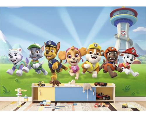 Kinderkamer met Paw Patrol muurschildering, speelgoedrek en speelgoed