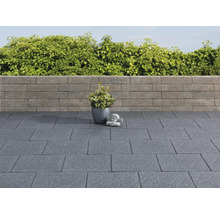 Terras met bestrating, muur, plant in pot en decoratie