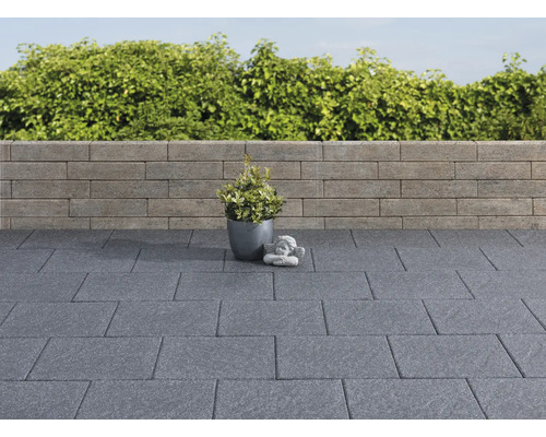 Terras met bestrating, muur, plant in pot en decoratie