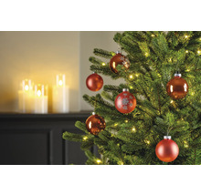 Versierde kerstboom met kerstballen en lichtjes