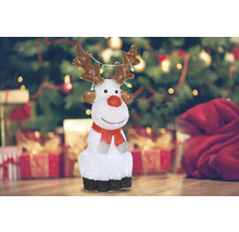 Decoratief rendier met verlichting voor de kerstperiode.