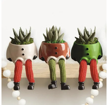 Drie decoratieve plantenbakken in de vorm van figuren met vetplanten op een plank