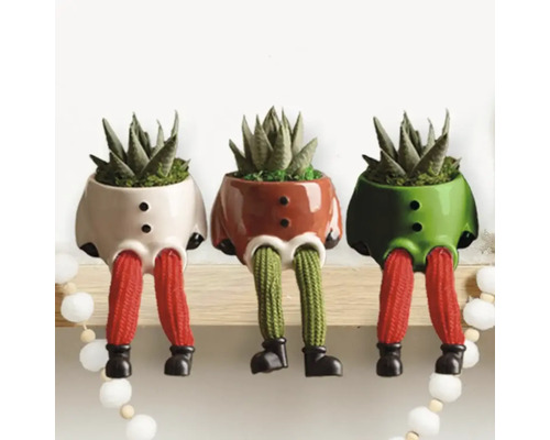 Drie decoratieve plantenbakken in de vorm van figuren met vetplanten op een plank