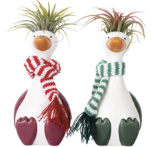 Twee decoratieve eendenfiguren met sjaals en planten als haar