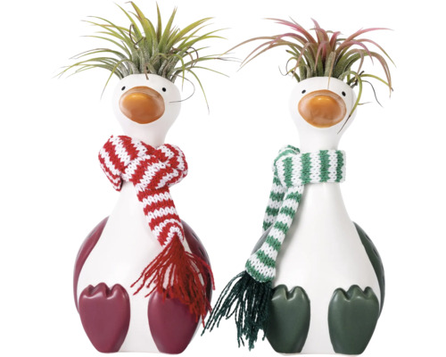 Twee decoratieve eendenfiguren met sjaals en planten als haar