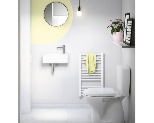 Badkamer met wastafel, spiegel, radiator, toilet en decoratie