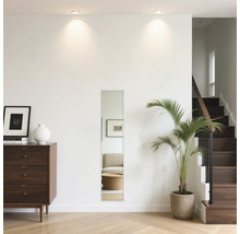 Interieur met ladekast, spiegel, kamerplant en trap