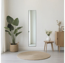 Kameroverzicht met rechthoekige spiegel, plant en dressoir