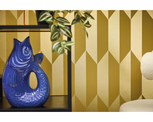 Kameroverzicht met geometrisch behang en decoratieve visvaas