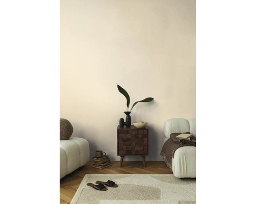 Woonkamer met vloerkleed, bank en houten kast