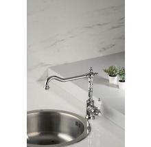 Chromen keukenkraan met spoelbak en decoratie