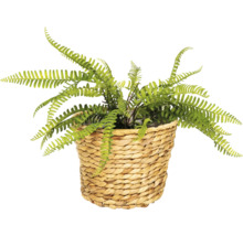 Kunstvaren in een mand