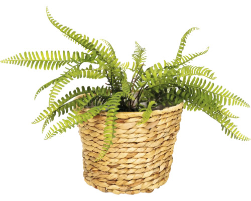 Kunstvaren in een mand