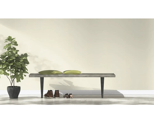 Lichte scène met bank, kussens, kamerplant en schoenen tegen een muur