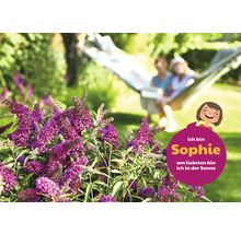 Vlinderstruik in de tuin met ontspannen mensen in de hangmat